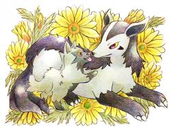 mightyena from pokemon