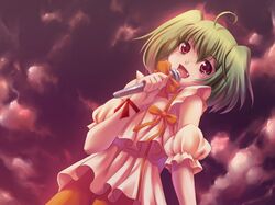 ranka lee from macross by fujirin