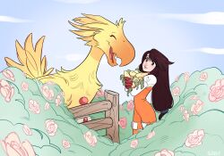 chocobo from final fantasy by skirtzzz