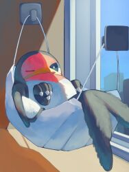 taillow from pokemon by p9kfxaofqi54546