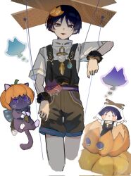 scaramouche (cat) (genshin impact) from genshin impact