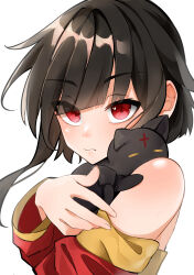 chomusuke from kono subarashii sekai ni shukufuku wo!