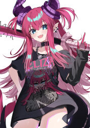 elizabeth bathory (fate) from fate/grand order by neko daruma