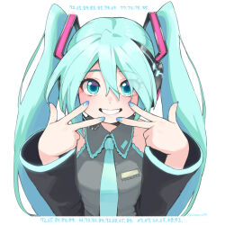 hatsune miku from vocaloid by omaru gyuunyuu