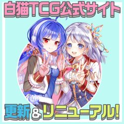 noa (shironeko project) from shironeko project