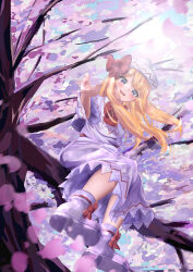 lily white from touhou