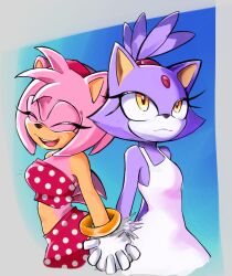 amy rose from sonic (series)