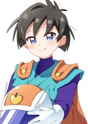 videl from dragon ball by haru (konomi 150)