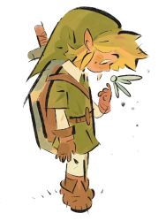 link from the legend of zelda