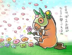 silence suzuka (racehorse) from real life by suzuka6517