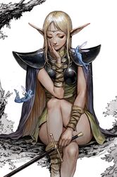 deedlit from record of lodoss war by kyoung hwan kim