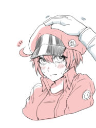 ae-3803 from hataraku saibou