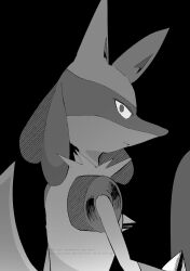 lucario from pokemon by shiro hinageshi