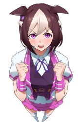 special week (umamusume) from umamusume