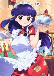 shampoo (ranma 1/2) from ranma 1/2 by cesar art456