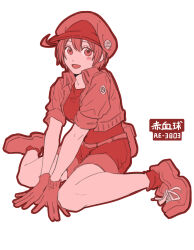 ae-3803 from hataraku saibou