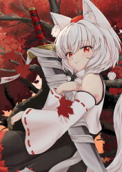 inubashiri momiji from touhou