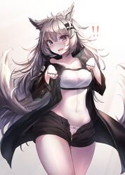 lappland (arknights) from arknights