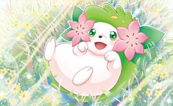 shaymin from pokemon