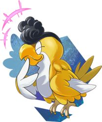 squawkabilly from pokemon