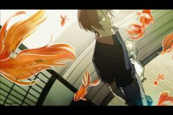 matsuoka rin from free!