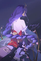 raiden shogun from genshin impact