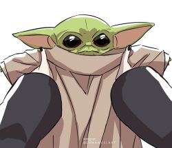 grogu from pokemon