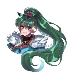 lyn (fire emblem) from fire emblem