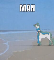 lyn (fire emblem) from fire emblem