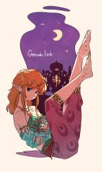 link from the legend of zelda