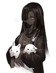 limbus company fan art