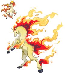 rapidash from pokemon
