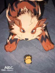 arcanine from pokemon by arc draws