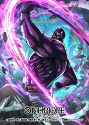 one piece fan art
