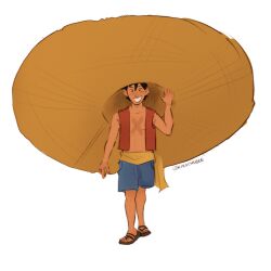 monkey d. luffy from one piece