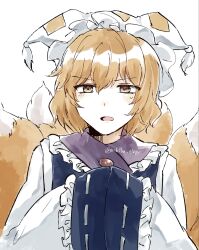yakumo ran from touhou by koto (shiberia39)