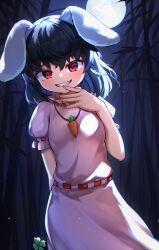 inaba tewi from touhou