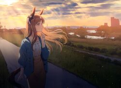 grass wonder (umamusume) from umamusume