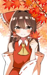 hakurei reimu from touhou