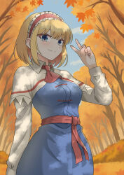alice margatroid from touhou