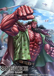 fisher tiger from one piece by kagelow