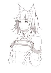 kal'tsit (arknights) from arknights