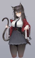 skyfire (arknights) from arknights