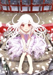 sengoku nadeko from monogatari (series)