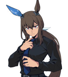 admire vega (umamusume) from umamusume