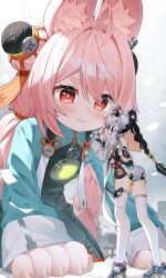 dialyn (zenless zone zero) from zenless zone zero