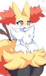 braixen from pokemon by z zmag8