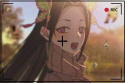 kochou kanae from kimetsu no yaiba