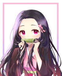 kamado nezuko from kimetsu no yaiba