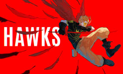 hawks (boku no hero academia) from boku no hero academia